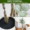 Artificial Eucalyptus Tree with Woven Pot, 150cm Tall Artificial Plants Indoor w/Lifelike Leaves & Fruits, Faux Plants Eucalyptus Tree for Home Decor - 4 of 4