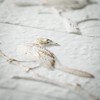 Sullivans Bird Wall Decor 30"H; White - 2 of 3