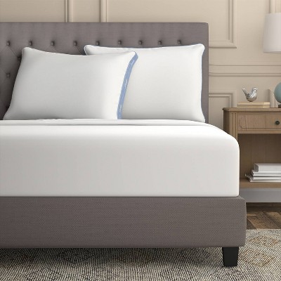 Sealy Jumbo 2pk Extra Firm Maintains Shape Pillow