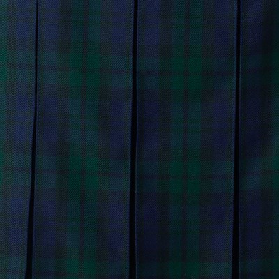 classic navy/evergreen plaid