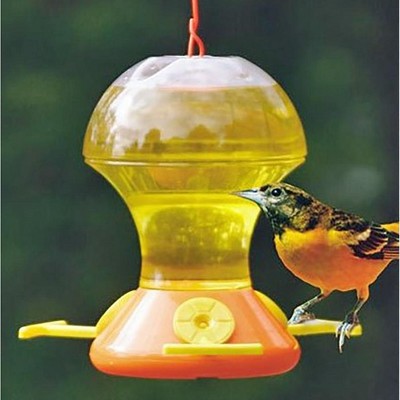 Songbird Essentials Orange/clear Fliteline Oriole Feeder With Bee ...