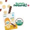 Little Bellies Organic Date Oat and Banana Bars Baby Snacks - 3oz - 3 of 4