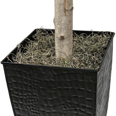 6' Green Artificial Ficus Tree in Black Metal Planter
