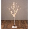 Small Indoor/Outdoor Birch Tree with 300 Warm White Lights - 2 of 2