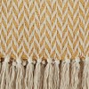 50"x60" Zig-Zag Throw Blanket - Design Imports - 3 of 4