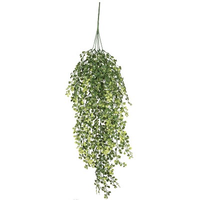 Sullivans Artificial Maiden Hair Fern Vine Plant 30"H Green