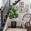 Acekool Faux Fiddle Leaf Fig Tree Artificial Indoor Plant with Realistic Green Leaves and Stable Pot for Home and Office Decor - 3 of 4