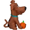 Gemmy Airblown Inflatable SCOOB with Pumpkin, 3.5 ft Tall, Brown - 3 of 4