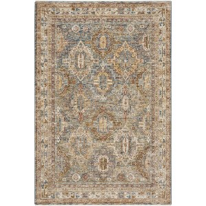 Nourison Petra Oramental Indoor Rug - 1 of 4
