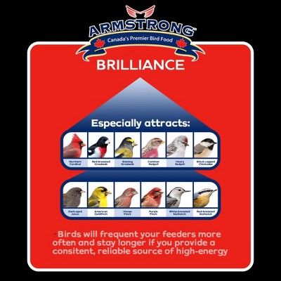Brilliance Blend Premium Wild Bird Food, 10lbs
