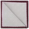 INSPIRE CHIC Men's Classic Modern Geometric Pocket Squares - 4 of 4