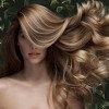 Phyto Phytodensia Plumping Serum (1 oz) Revitalizing Hair Treatment for Density and Aging Hair - 3 of 3