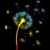 Design By CreativeHT Humans Rainbow Colorful Dandelion Flower Pride By CreativeHT T-Shirt - 2 of 2
