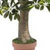 Nearly Natural Schefflera Silk Tree (Real Touch) (4"): Indoor Faux Plant, Lush Greenery, No Assembly Required - image 3 of 3