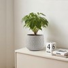 Wooakway 9" Dia Outdoor Indoor Ceramic Planter Pot Decorative Planter with Drainage Hole Patio Flower Pot - 2 of 4