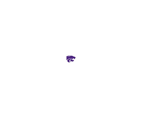 NCAA Kansas State Wildcats Necktie