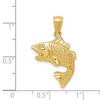 Black Bow Jewelry 14k Yellow or White Gold Bass Pendant, 17mm (5/8 inch) - 4 of 4