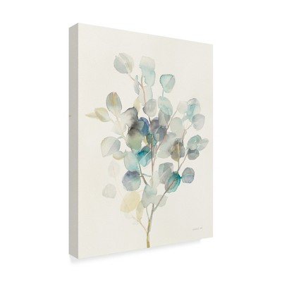 Trademark Fine Art -Danhui Nai 'Eucalyptus III' Canvas Art