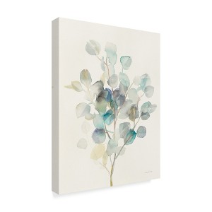 Trademark Fine Art -Danhui Nai 'Eucalyptus III' Canvas Art - 1 of 3