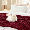 Bedsure | Cute Soft Cozy Checkered Throw Blanket for Couch - 3 of 4