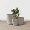 Rosemead Home & Garden 3pc Concrete Outdoor Planter Pots Beige - 3 of 4