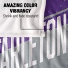 Tarleton State University Fan Zone Silky Touch Super Soft Throw Blanket 50x60 - 4 of 4
