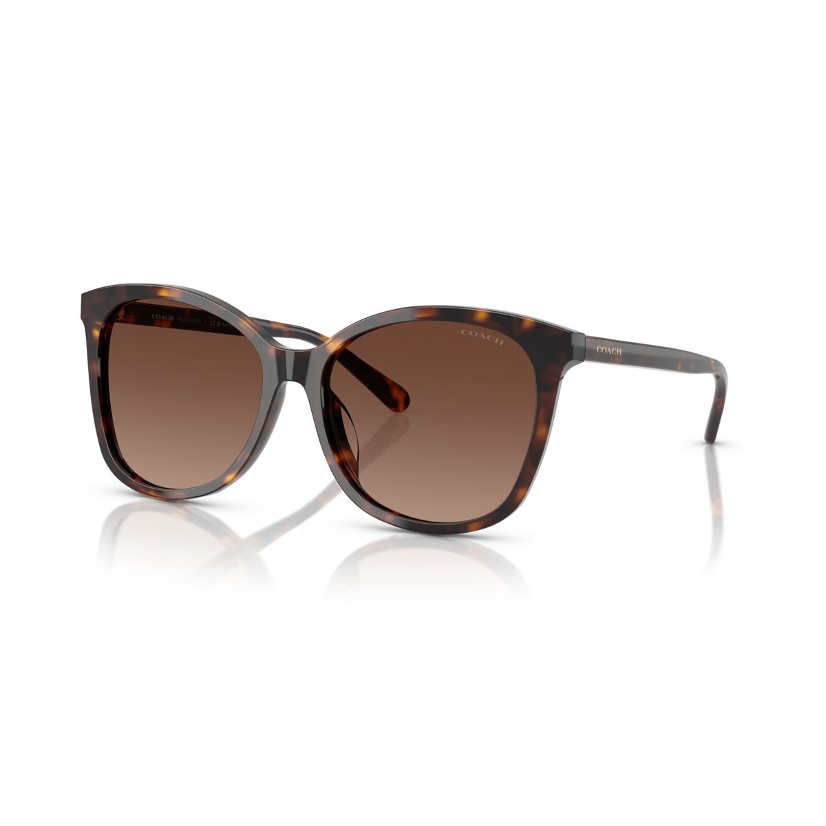 Coach HC8271U 57mm Female Square Sunglasses Polarized - thumbnail 7