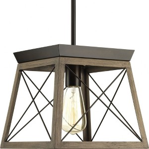 Progress Lighting Briarwood 1-Light Mini-Pendant, Antique Bronze, Steel, Faux-Painted Wood Enclosure - 1 of 4