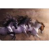 Trends International Laurie Prindle - Run To Freedom Unframed Wall Poster Prints - 4 of 4