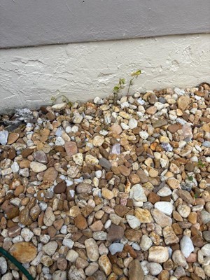 Guest review image 2 of 5, zoom in