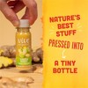 Vive Organic Pure Boost Ginger Shot - 2 fl oz - 4 of 4