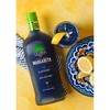 Rancho La Gloria Blueberry Margarita Wine Cocktail - 1.5L Bottle - 2 of 3