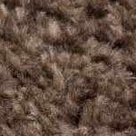 off white, dark brown