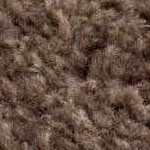 off white, dark brown