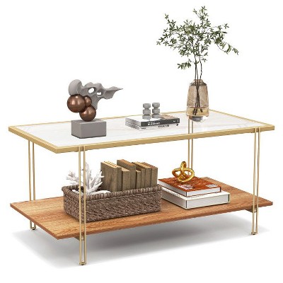 Yukimo 39.5" Rectangle Glass Coffee Table with White and Gold Steel Frame, 2-Tier Storage Design