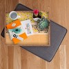 Iveta Abolina Benoite Blush Lemons 18" x 14" Large Rectangular Tray - Deny Designs - 2 of 2