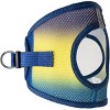 Doggie Design American River Choke Free Dog Harness Ombre Collection-Cosmic Splash - 2 of 4