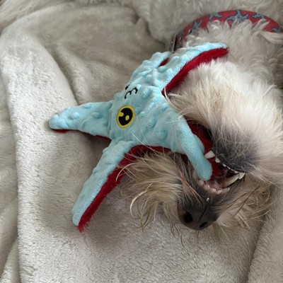 Bark Super Chewer Blue Rad Herring Fish Dog Toy : Target