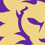 orlando city soccer club