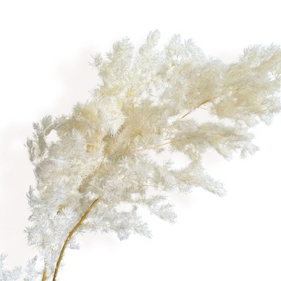 Alilang Decorative Dried Fine Leaf Stems for Home Decoration and Floral Arrangements, 17.7 Inches