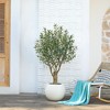 DR.Planzen 7FT Artificial Olive Tree with Thick Stump - UV Resistant Faux Plant for Indoor/Outdoor, Black Pot & Realistic Green Leaves - 2 of 4