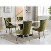 MYINDA Modern Tufted Solid Wood Velvet Upholstered Dining Chairs with Chrome Plated Stainless Steel Legs and Nailhead Accents, Set of 2 - 4 of 4