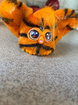 Guest review image 1 of 1, zoom in