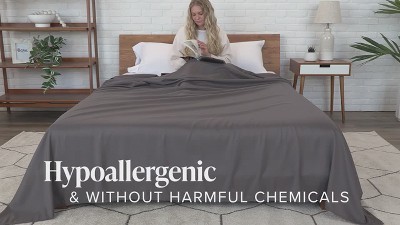 Twin/Twin XL Black Double Brushed Microfiber Flat Sheet Set