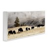 Stupell Industries Grazing Bison Foggy Countryside, 24" x 10" - 3 of 4