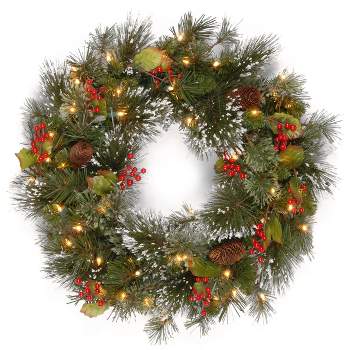 National Tree Company Pre-Lit Artificial Christmas Wreath, Green, Wintry Pine, White Lights with Pine Cones, Berry Clusters,Frosted Branches 24 Inches