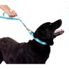 Country Brook Petz Martingale Heavyduty Nylon Dog Collar and Double Handle Leash - 3 of 4