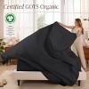 260 Thread Count Organic Cotton Percale Bed Sheet Set by Bare Home - 2 of 4