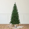 Northlight 6' Pre-Lit Wilson Pine Slim Artificial Christmas Tree, Multi Lights - 2 of 4