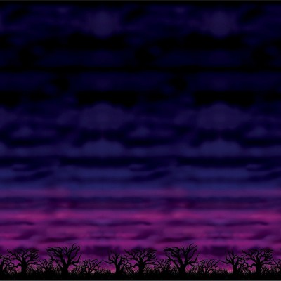 Beistle 4' X 30' Spooky Sky Backdrop 00901 : Target